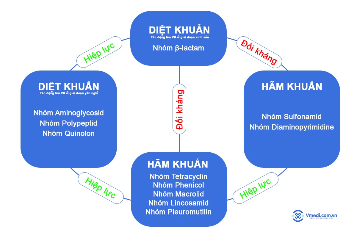 bang-phoi-hop-khang-sinh